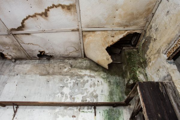 Cost of Water Damage Service in Jacksonville