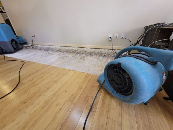 Cost of Water Damage Mitigation in Jacksonville