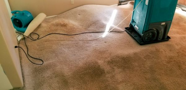 Cost of Flood Damage Cleanup in Jacksonville
