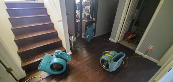 Cost of Water Damage Remediation in Jacksonville