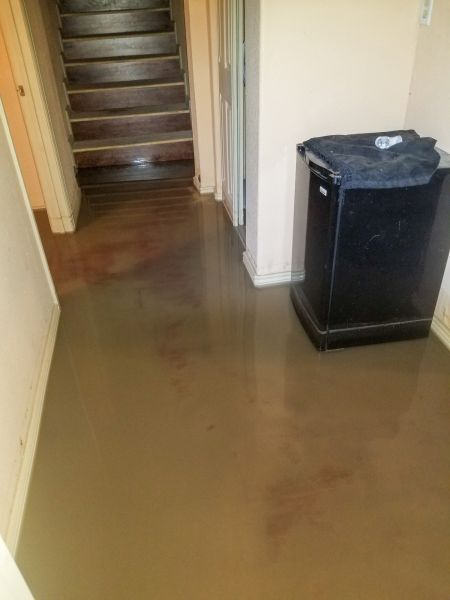 Cost of Emergency Water Removal in Jacksonville